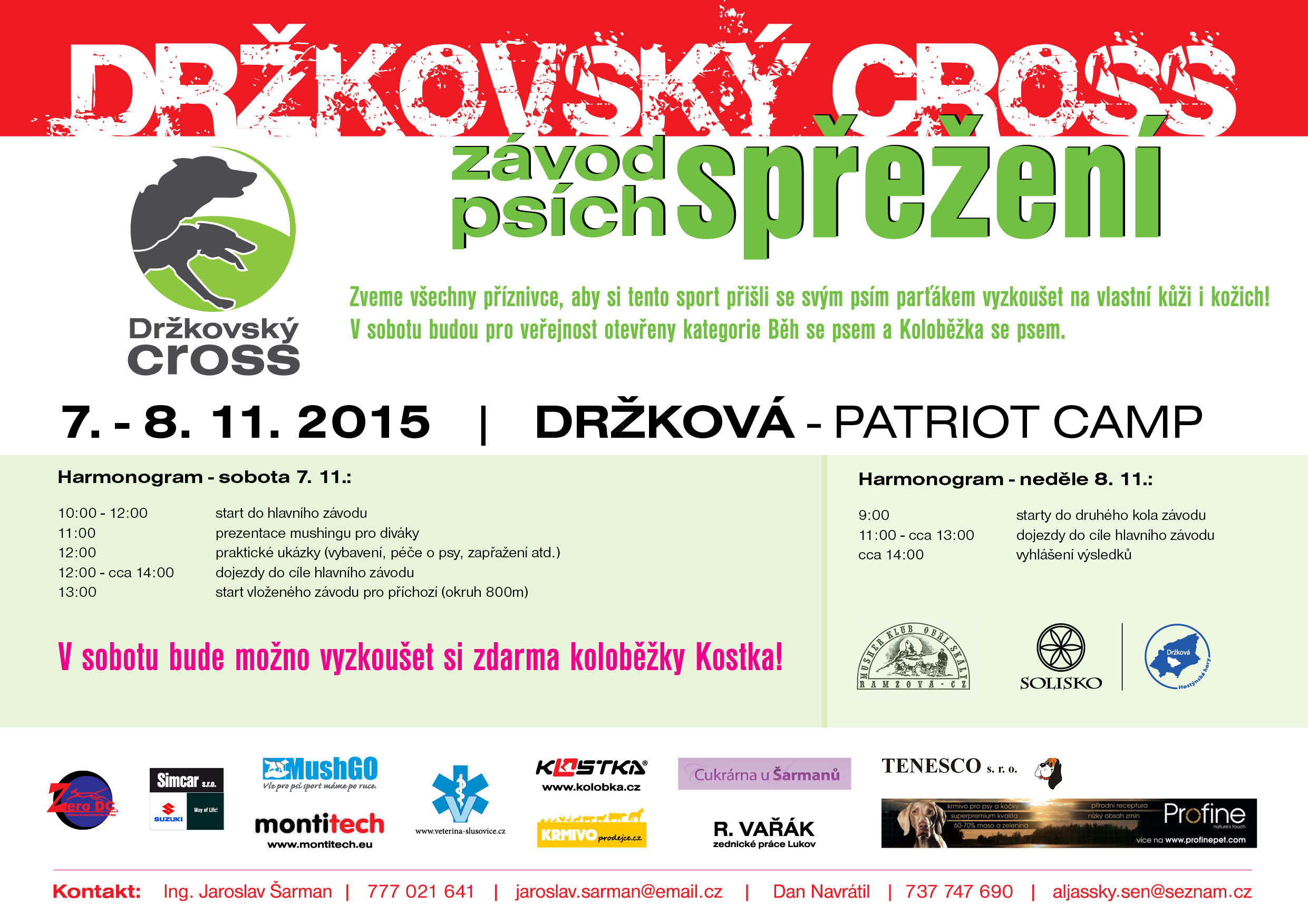 2015_cross_plakat