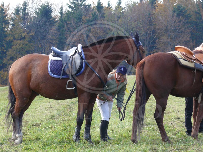20101023_hubert.4
